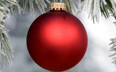 Low-Sodium Diabetic Recipes for the Holidays